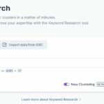 SurferSEO keyword research weltweit oder per land